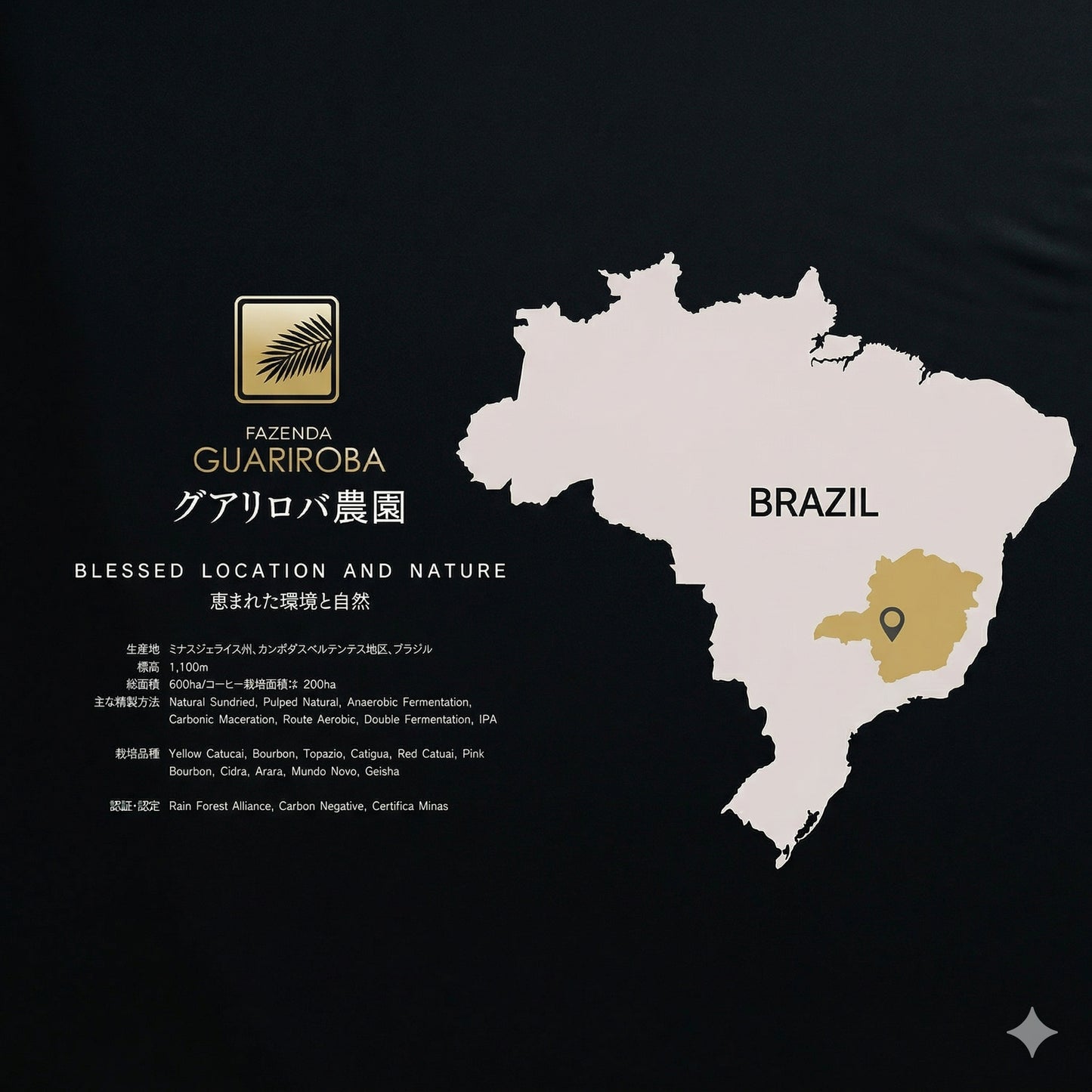 Fazenda Guariroba Trial Set 100g × 3