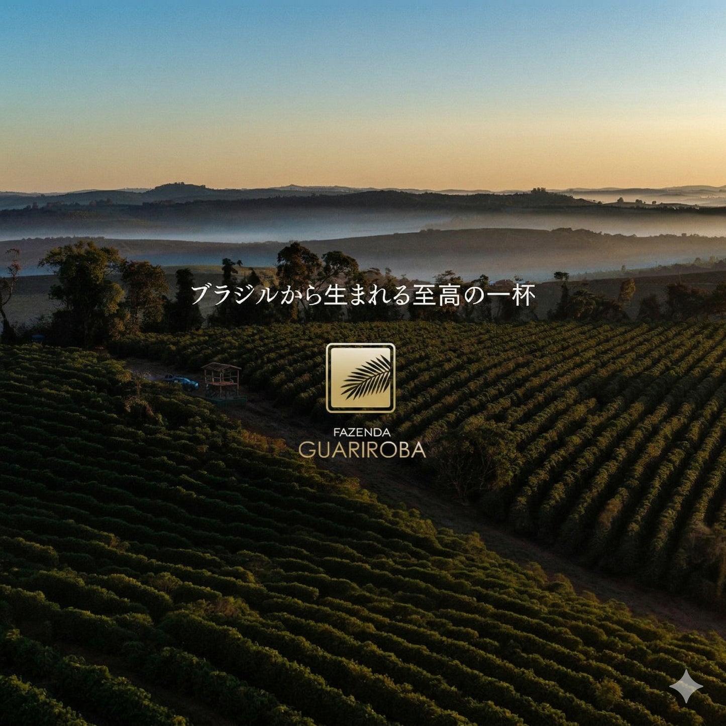 Fazenda Guariroba Trial Set 100g × 3