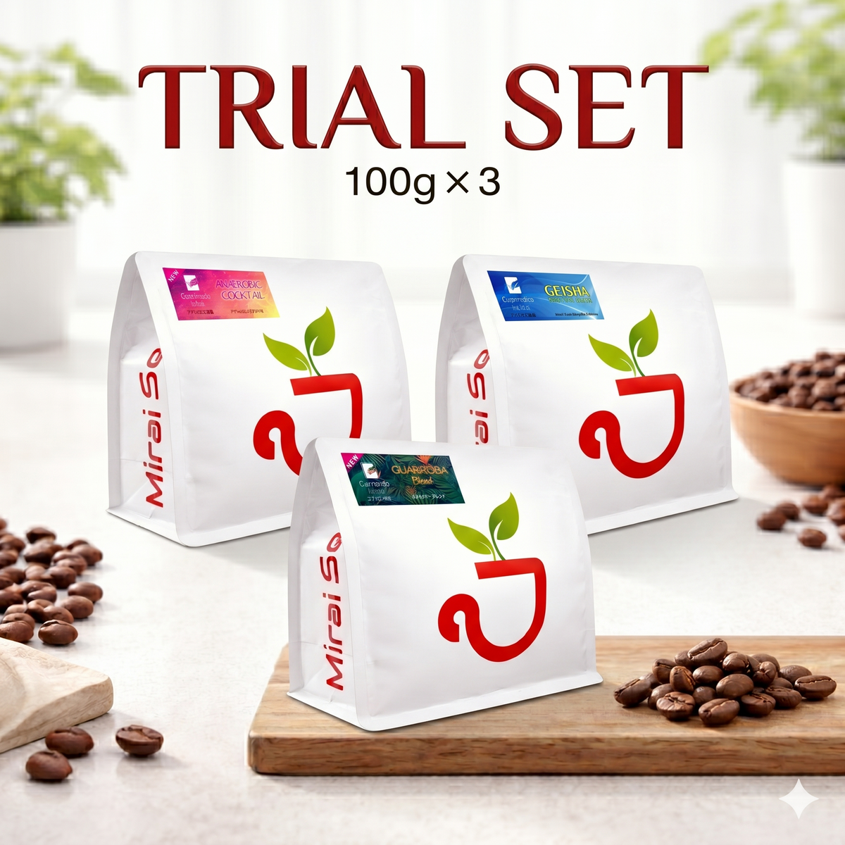 GUARIROBA TRIAL SET｜コーヒー豆 飲み比べ3種セット 100g×3｜卸売専門