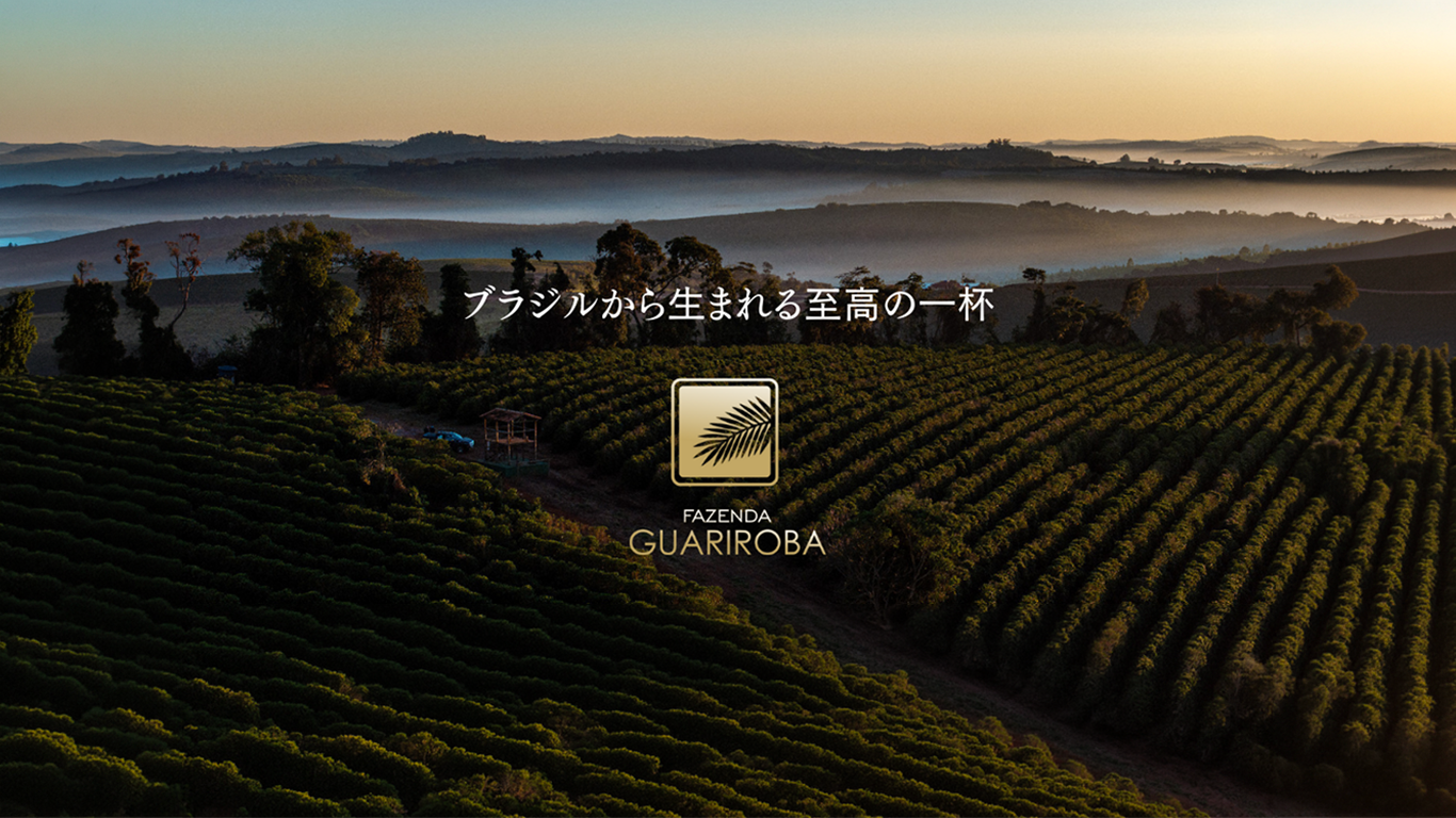 グアリロバ農園の夕暮れコーヒー農園 - ブラジルから生まれる至高の一杯